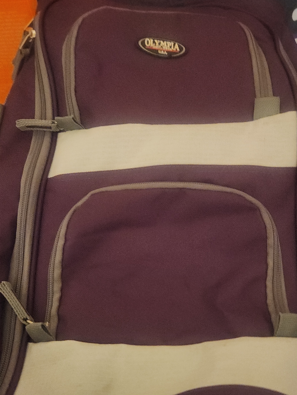 Men’s Purple and White Everyday Backpack